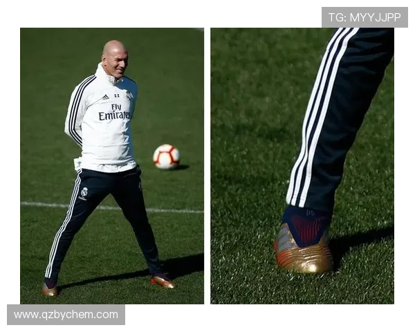 全球足球明星详尽资料与成就分析一览